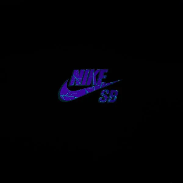 Nike SB OC Spider Glow In The Dark Graphic Skate Tee Black