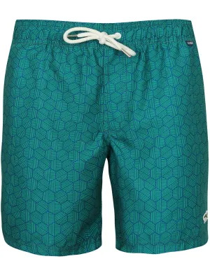 Treborth Striped Geo Print Swim Shorts in Veridis Green - Le Shark